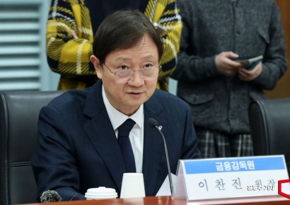 금감원, 3월 삼성화재 검사 인력 대폭 확대…이찬진 '소비자 보호' 기조 가속