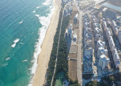 ‘양도세 중과’ 안전지대 된 강릉아파트… '세컨드홈 특례'에 외지인 투자 증가세