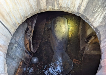 따뜻한 물 찾다 20km 이동? 하수관에 갇힌 '매너티' 극적 구출
