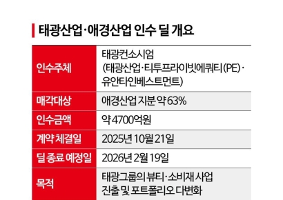 애경 품는 태광…'승자의 저주' 그림자