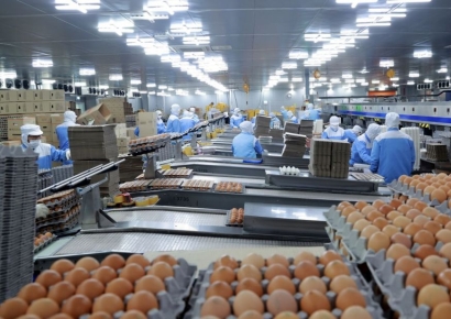 태백시, 스마트축산단지 대형 축산기업 2000억 규모 투자의향서 제출