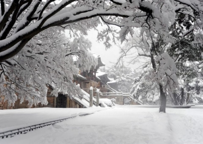 설 연휴, 경주에 물들다…천년의 빛과 감성여행
