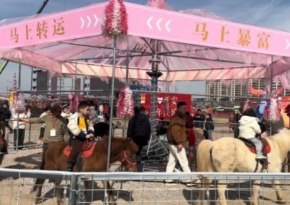 '5분에 6300원' 인기 폭발…살아있는 말로 만든 '회전목마' 학대 논란