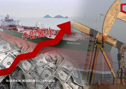 7개월째 오른 수입물가… "7년 반 만의 최장기간 상승 행진"