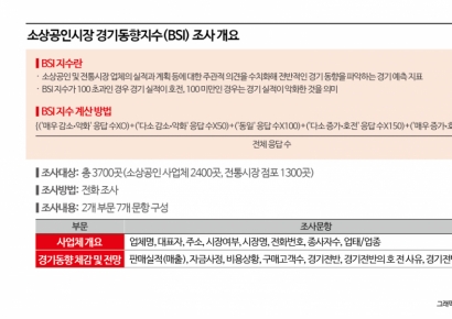 [Exclusive] "BSI Has Limits"... Small Enterprise and Market Service Begins Developing New Small Business Economic Indicator "SGDP"