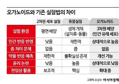 오가노이드는 무엇이고, 지금 어디까지 왔나[과학을읽다]