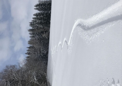 일본까지 가서 웬 민폐…韓 20대, 정규코스 밖에서 보드 타다 조난