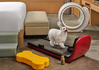 '825조 시장' 활활…"우린 몽클 걸치고 두쫀쿠 먹으며 호캉스 해요"