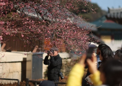 [내일날씨]설 연휴 둘째 날도 포근…서쪽지역 짙은안개 주의