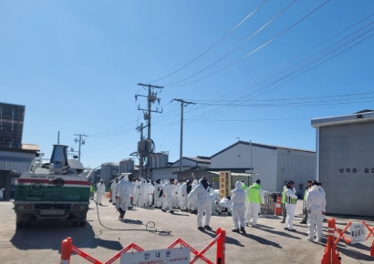 포천시, 고병원성 AI 발생 '긴급 방역' 착수…이동제한 확대