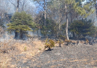 해남 야산 묘지 인근서 불…1시간 만에 진화 완료