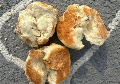 반려견 놀이터 '낚싯바늘빵' 발견… CCTV로 용의자 추정