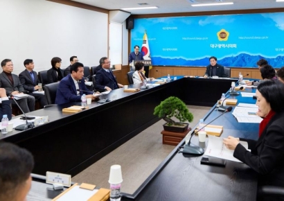 TK행정통합 후 대구시의원 33명 경북도의원 60명…"시도 의원 동일해야"