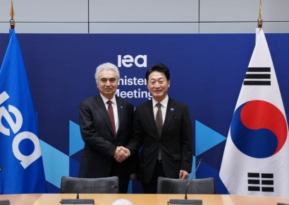 이호현 2차관, IEA 각료이사회서 전력수급 패러다임 전환 제시