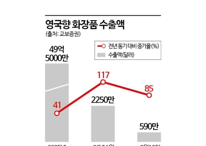 "한국꺼 다 털자" 이제 영국인들이 알아서 지갑 연다…아마존서 뷰티템 싹쓸이 중[주末머니]