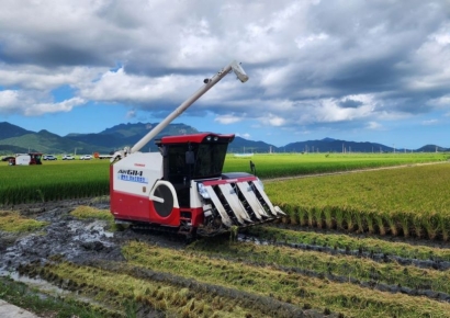전남도, 널뛰기 하는 쌀값… 수급조절용 벼 재배 추가지원