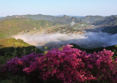 '1인당 80만원' 지원금 푼다…소득·자산 관계 없이 지급한다는 '이곳'