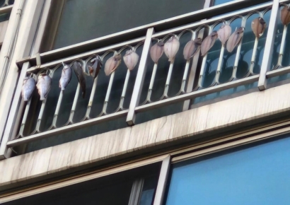 아파트가 건어물 가게? 베란다 난간에 생선 '주렁주렁'에 이웃들 고통 호소