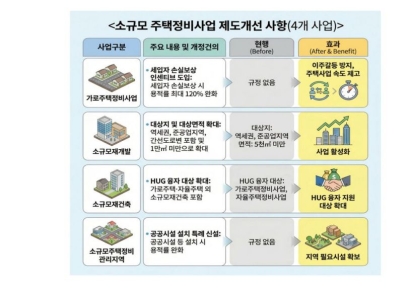 서울시, 정부에 소규모주택정비 제도 개선 요청