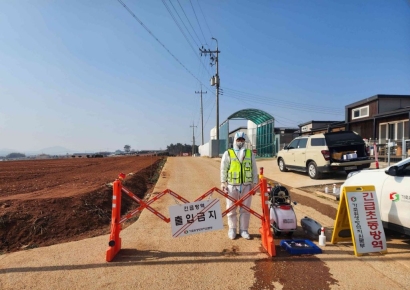 '또 나왔다' 아프리카돼지열병…전남 무안 양돈농장서 확진 