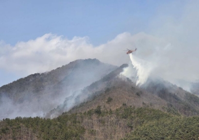 함양군 산불 대피 주민 33명 모두 '무사' …  박완수 지사 "진화 총력·안전 최우선"