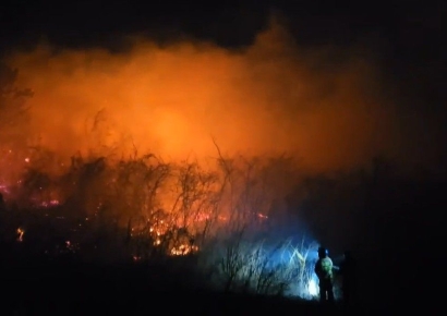 강원 고성서 산불 확산…주민 대피령·소방당국 2단계 대응