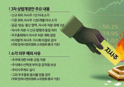 3차 상법개정안도 국회 통과…남은 '지배구조' 이슈는?