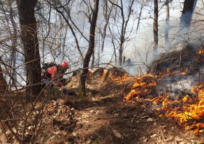 함양 산불 44시간 사투 끝에 주불 잡혀 … 234㏊ 피해 추정