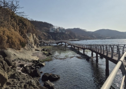 포항 호미반도 해안둘레길, 새단장 마치고 상춘객 맞이