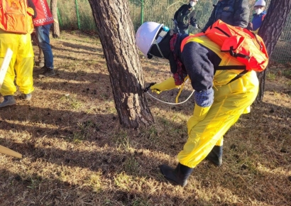 동해시, 소나무재선충병 확산 방지 총력…255ha 규모 예방사업 추진