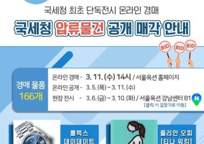 국세청, 압류물건 공개매각…롤렉스·에르메스 등 166건 온라인 경매