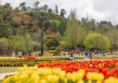 "꽃이 피면, 순천 정원의 도시가 숨 쉰다"