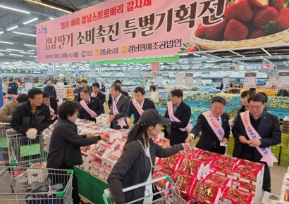 최대 30％ 할인 … 김해서 '경남 딸기 소비 촉진 특별기획전'
