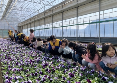 '꽃으로 배우는 농업'… 울산시 농업기술센터, 초화양묘장 체험교육 실시
