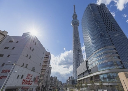"5시간 갇혀 화장실도 못 가" 야경 보러 간 20명 日 스카이트리서 '날벼락' 