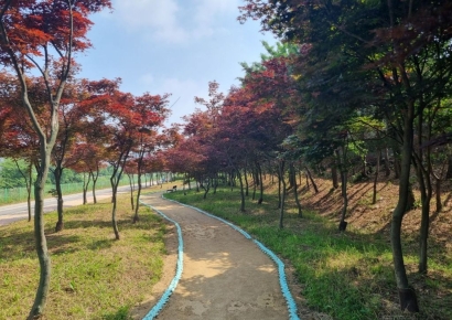 경기도, 427억원 투입해 '도시숲' 264곳 조성