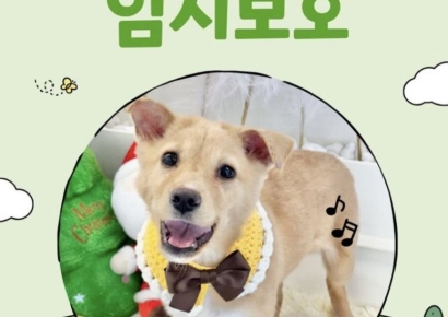 낭떠러지 고립 45일…127일 만에 새 가족 만난 유기견 '여울이'