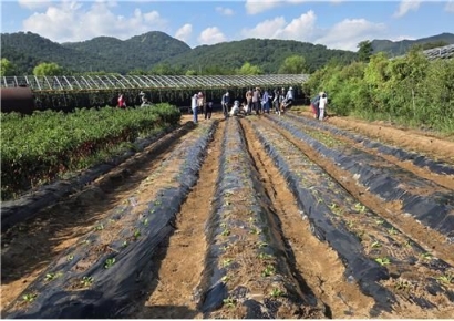 귀농 첫걸음 부산서 하세요… 부산시 농업기술센터, '영농 드림팀' 교육생 모집