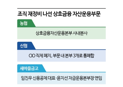 '베일 속 큰 손' 상호금융 자산운용부문 '재정비'