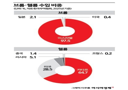 [미국-이란 전쟁]반도체까지 튄 전쟁 불똥…브롬 수입 98%는 이스라엘