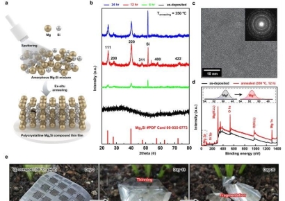 “1조분의 1도 잡는다”… 국립부경대 김종형 교수, 친환경 반도체·초고감도 센서 연구 ‘주목’