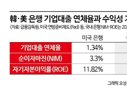연체율 美 절반인데 수익성은 반토막…갈 길 먼 '생산적 금융'