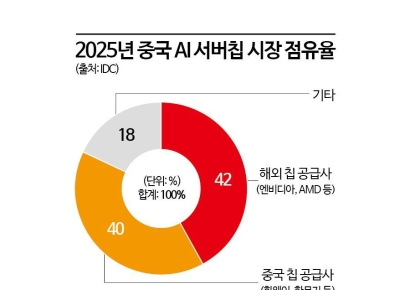 [칩톡]"화웨이 칩 성능 낮아서 오히려 좋아?"‥중국 AI 칩 전략이 바꾼 메모리 기상도