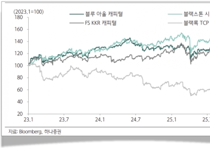 물음표 붙은 사모대출 비즈니스 …BDC도 덩달아 시험대