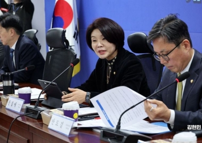 與 "추경 심사서 K-패스 모두의카드 기준금액 절반으로"