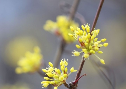 [내일날씨]전국 곳곳에 눈비…강원 최대 20㎝ 눈