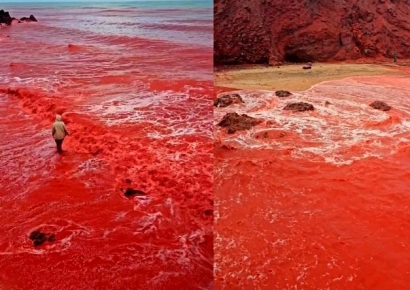 "지구 종말 신호?"…하늘에서 갑자기 쏟아진 '붉은 비' 정체