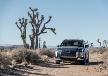 현대차, 美 전동시트 사고에 팰리세이드 일부 판매 중단…"리콜 예정"