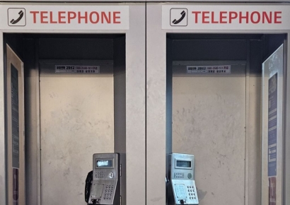 [이미지 다이어리] "네, 아직 살아 있습니다"… 