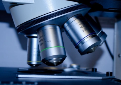 하버드 빼고 中이 장악한 '과학 톱10'…포항공대 빼고 또 밀린 한국 대학들